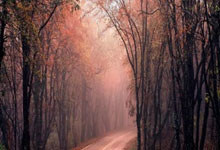 格萊姆斯調侃流感來襲 球隊成了受害者 基德的隊伍也難逃厄運.