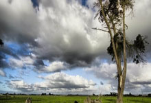 2021歐國聯淘汰賽賽程表.