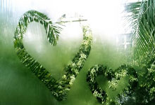 2023-2024賽季葡萄牙足球超級聯賽積分榜.