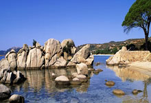 加維的勇敢:確認傷勢後仍沒有屈服,難以承受的眼淚.